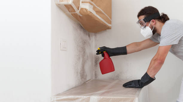 Professional Mold Inspection And Testing technician working in Newton Highlands, MA